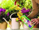 Подкормка для комнатных цветов
